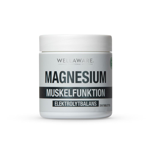 WellAware Magnesium 210 Minitabletter