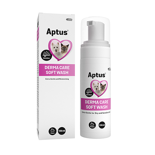 Aptus Derma Schampo, 150 ml