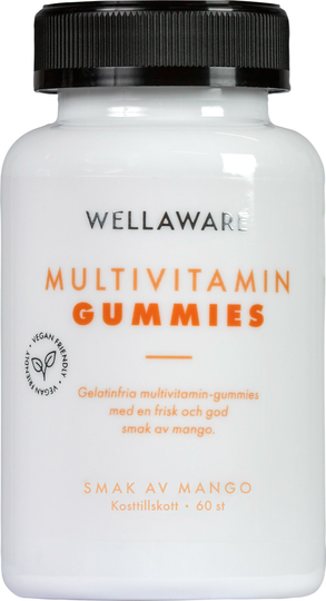 WellAware Multivitamin Gummies 60 styck