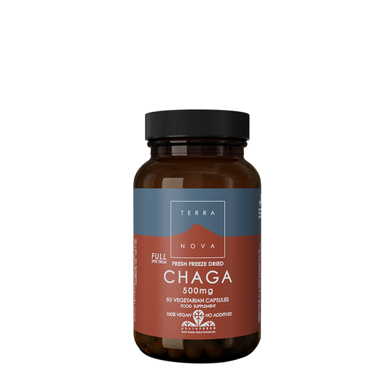 Chaga 500 mg, 50 kaps