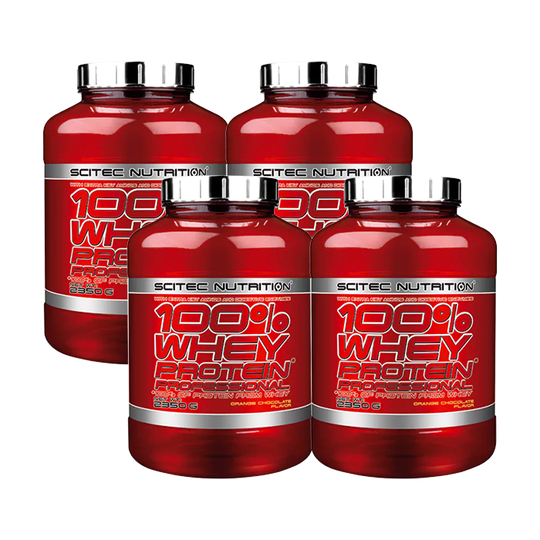 4 x 100% Whey Protein Professional, 2350 g, BIG BUY