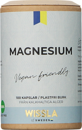 Wissla Magnesium 100 st